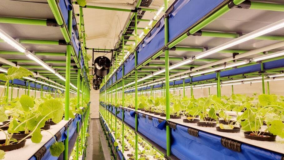 Vertical Farming Rack System