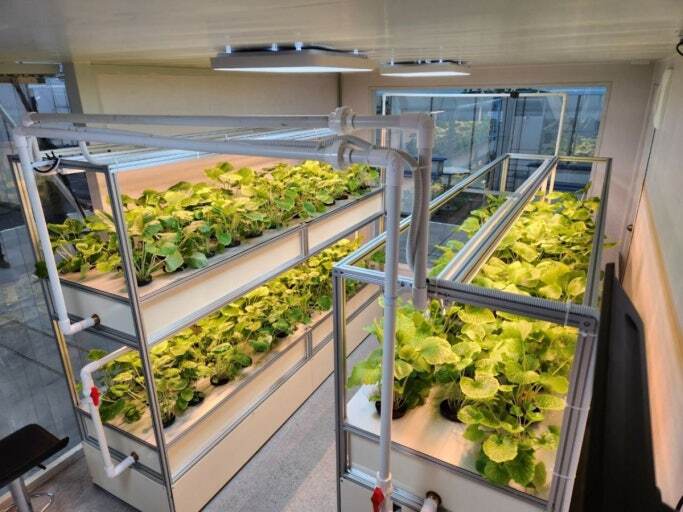 Vertical Farming Rack System
