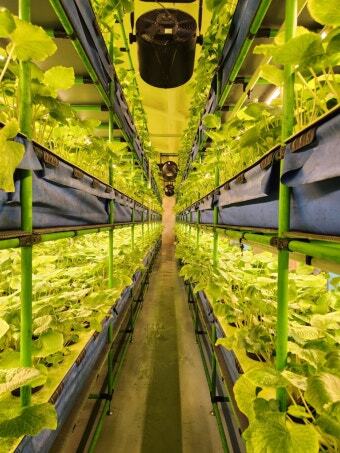 다운로드파일_20260306_120239