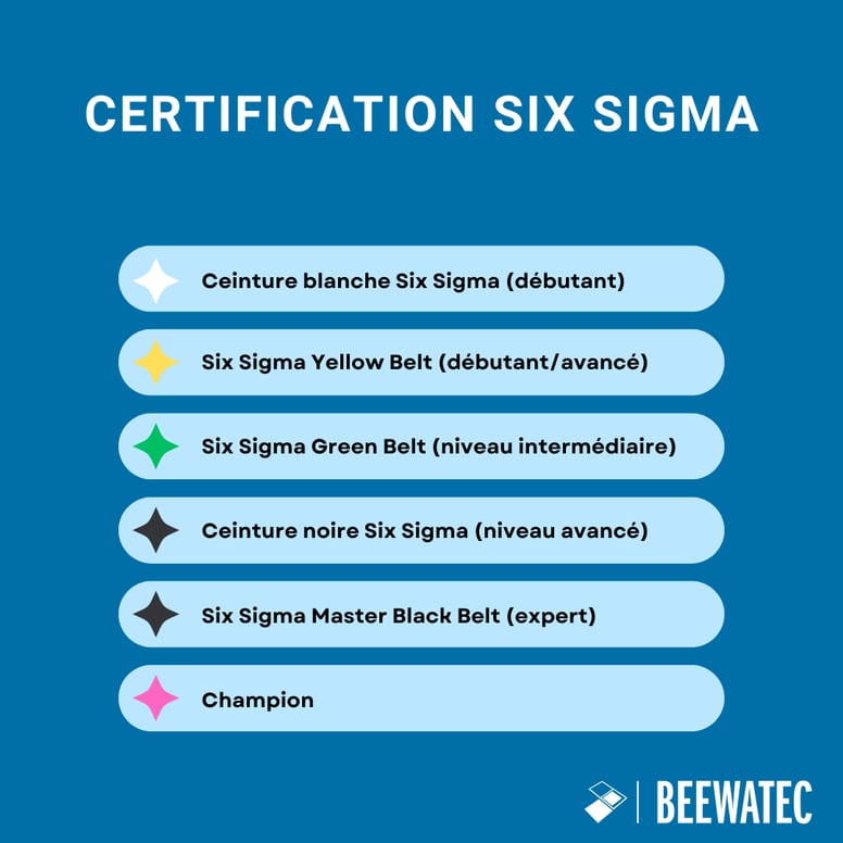 Certification Six Sigma