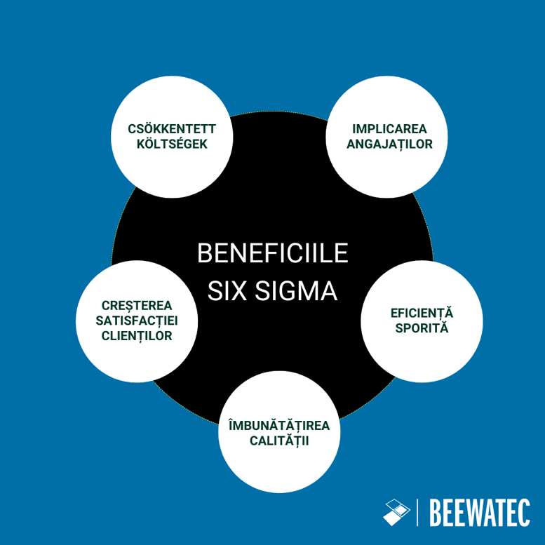 Beneficiile Six Sigma