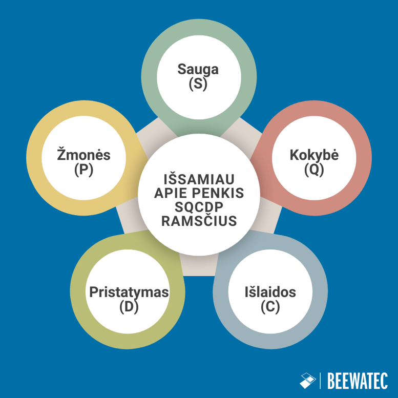 Išsamiau apie penkis SQCDP ramsčius
