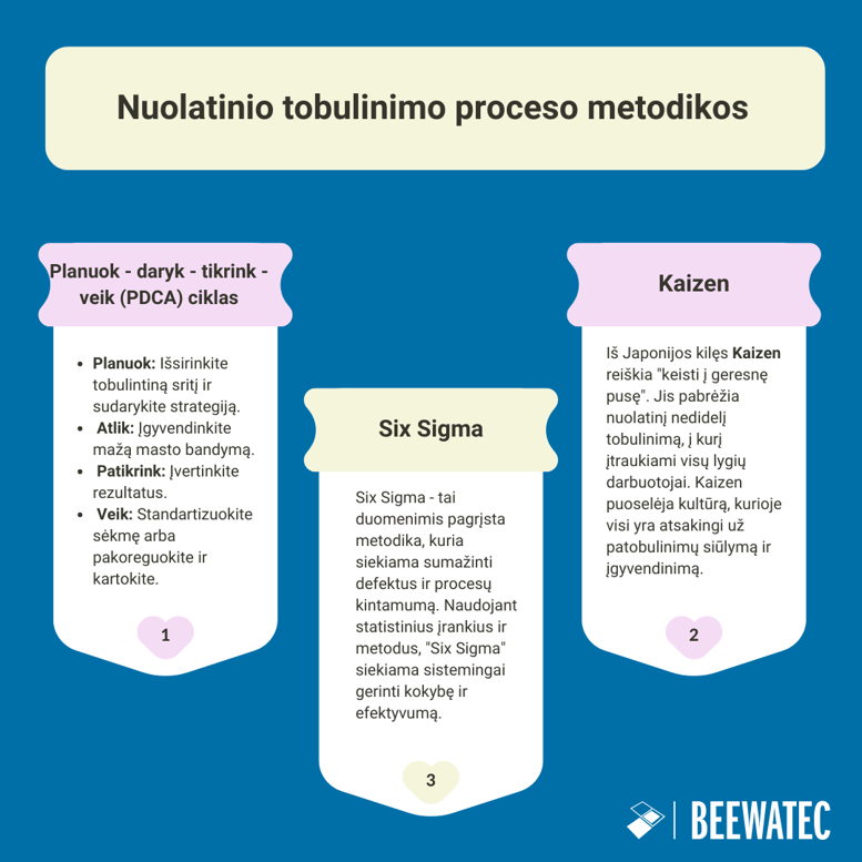 Nuolatinio tobulinimo proceso metodikos