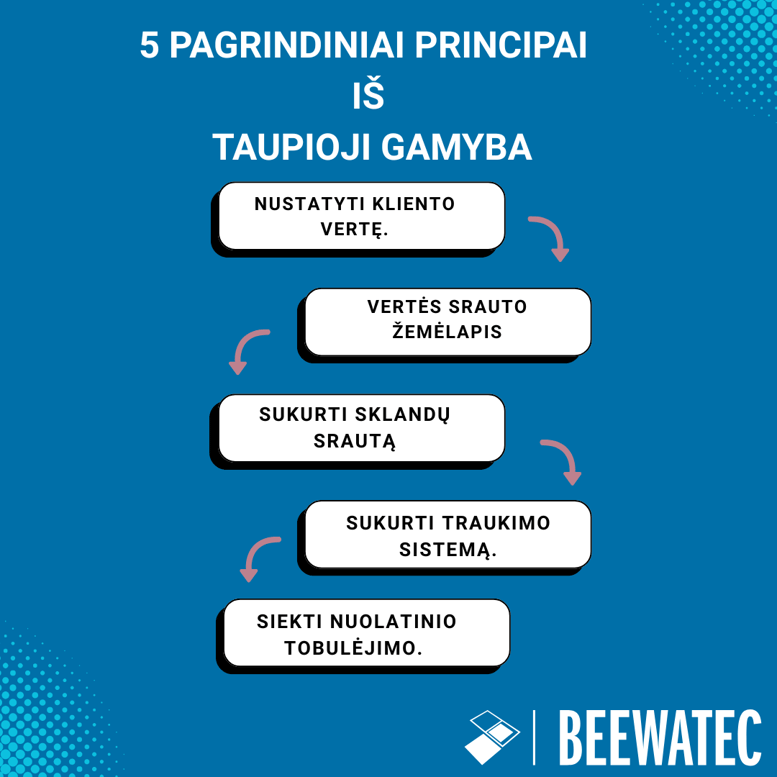 5 pagrindiniai taupiosios gamybos principai