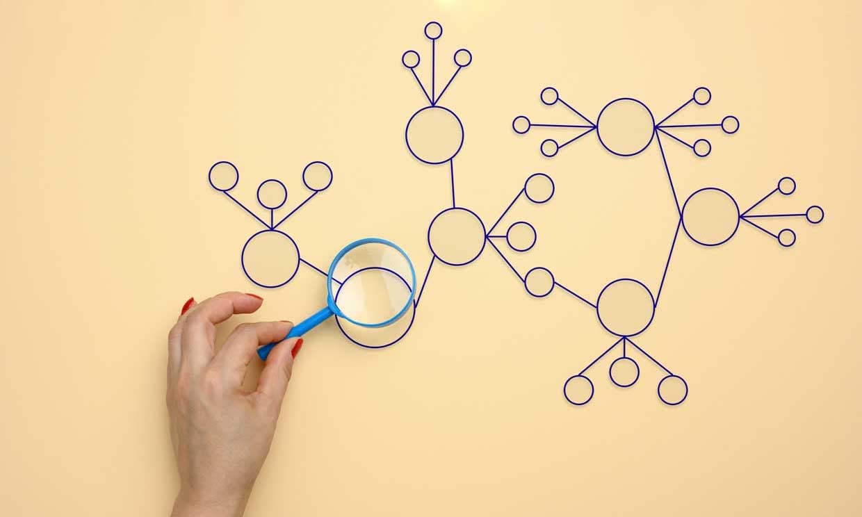 Identifikation und Analyse von komplex vernetzten Prozessen mit einer Lupe